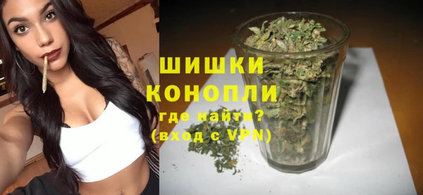 тгк Каменногорск