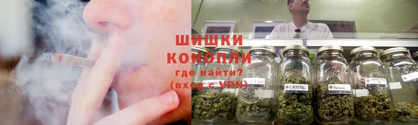 прущие грибы Киреевск