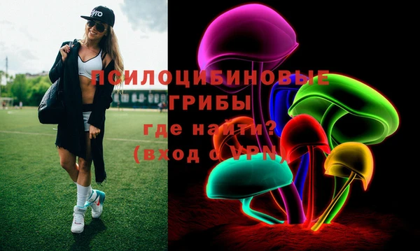 тгк Каменногорск