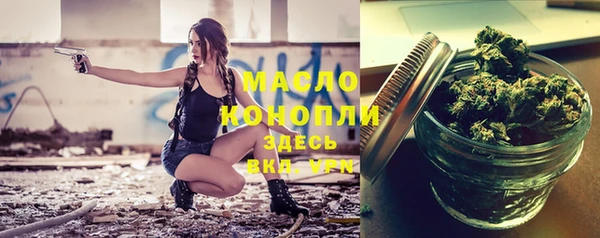 тгк Каменногорск