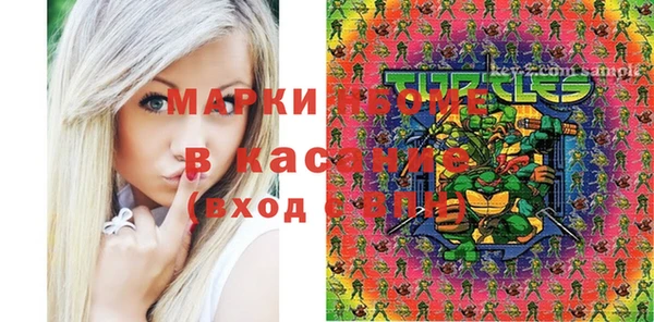 сатива Инта